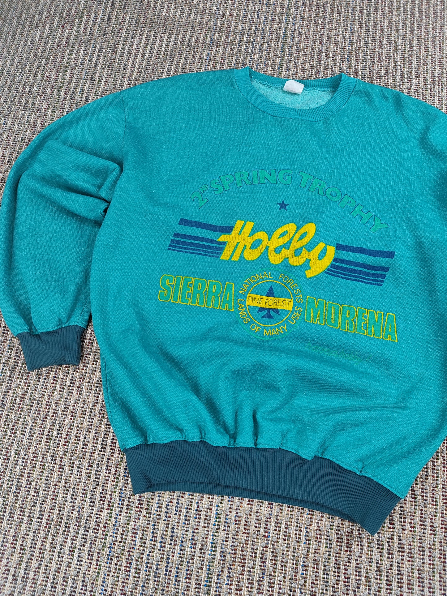 VINTAGE NATIONAL FOREST GRAPHIC SWEATSHIRT (M)